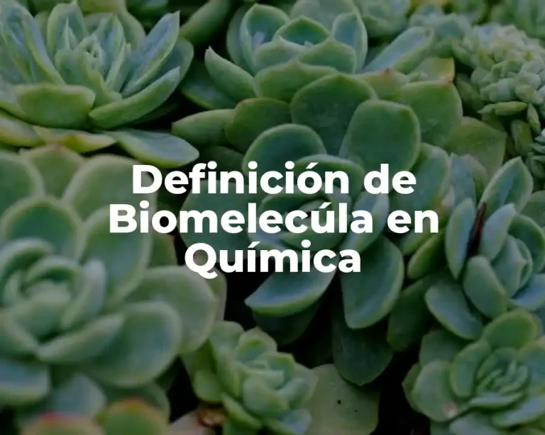 Definición de Biomelecúla en Química