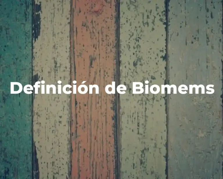 Definición de Biomems
