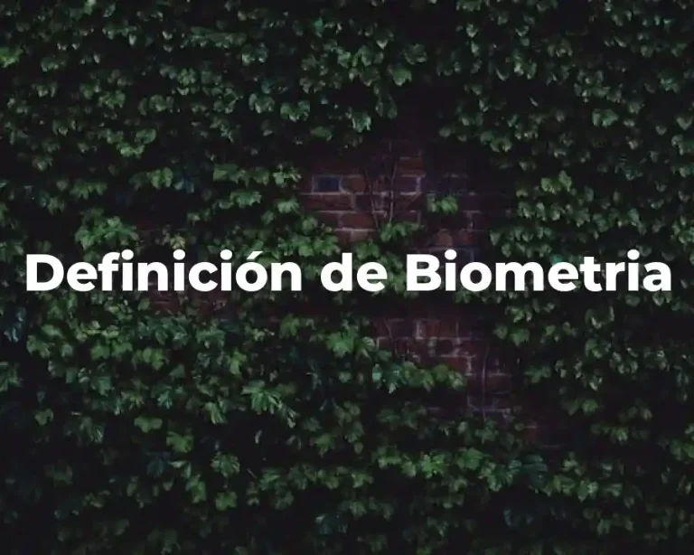 Definición de Biometria