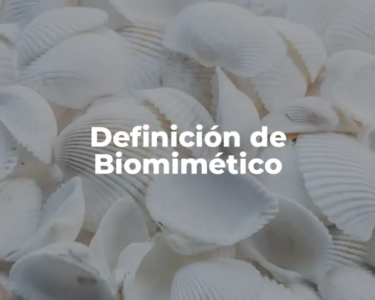 Definición de Biomimético