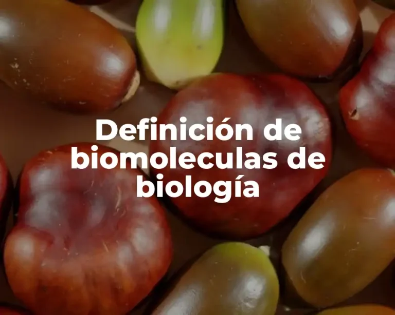 Definición de biomoleculas de biología