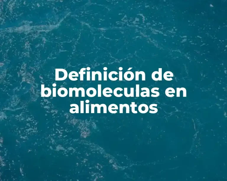 Definición de biomoleculas en alimentos
