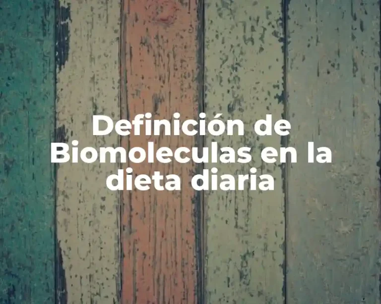 Definición de Biomoleculas en la dieta diaria