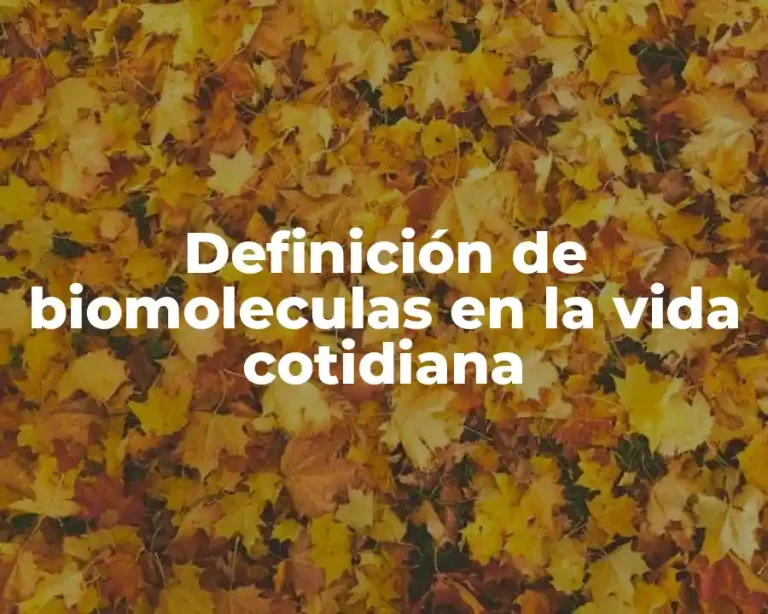 Definición de biomoleculas en la vida cotidiana