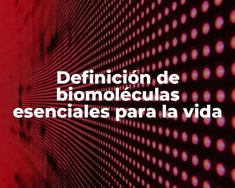 Definición de biomoléculas esenciales para la vida