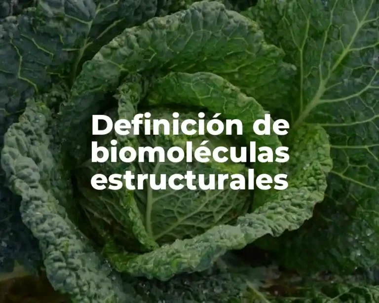 Definición de biomoléculas estructurales