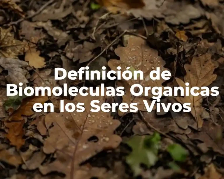 Definición de Biomoleculas Organicas en los Seres Vivos