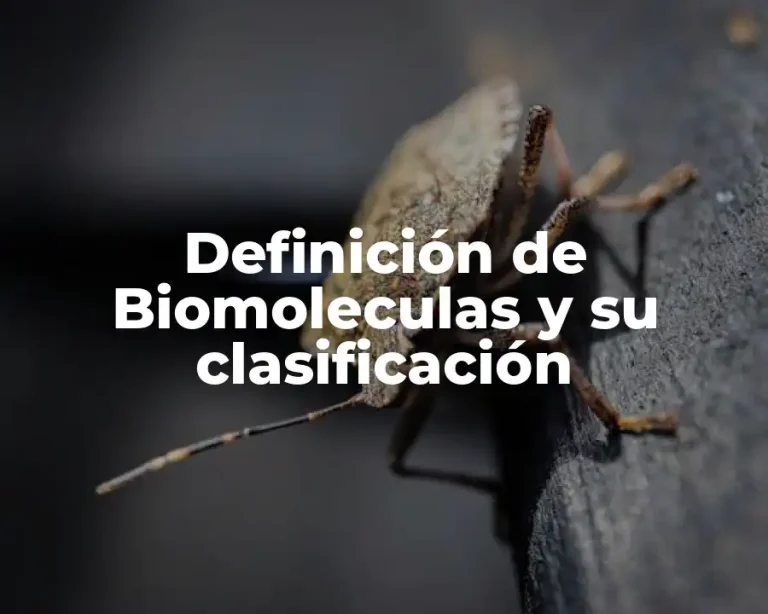 Definición de Biomoleculas y su clasificación