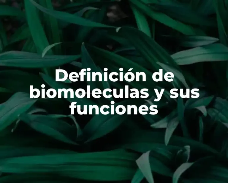 Definición de biomoleculas y sus funciones