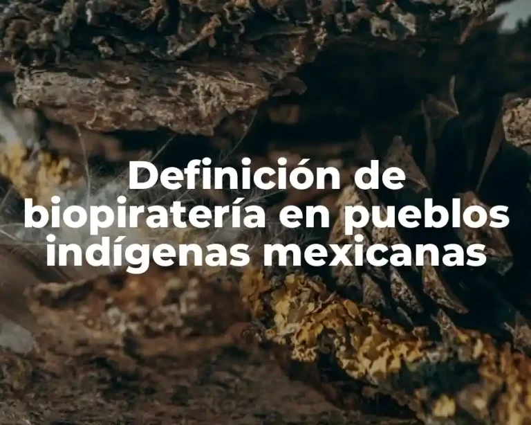 Definición de biopiratería en pueblos indígenas mexicanas