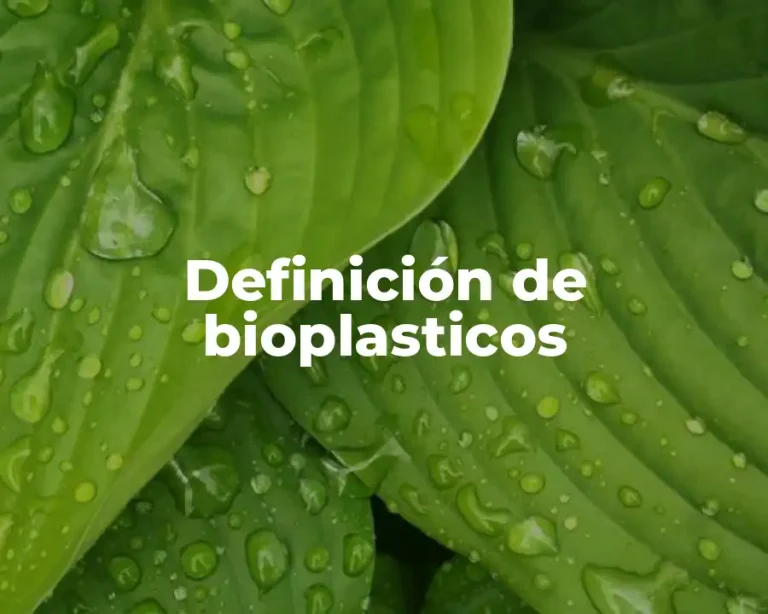 Definición de bioplasticos