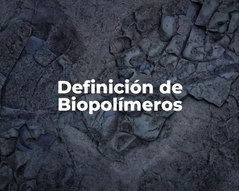Definición de Biopolímeros