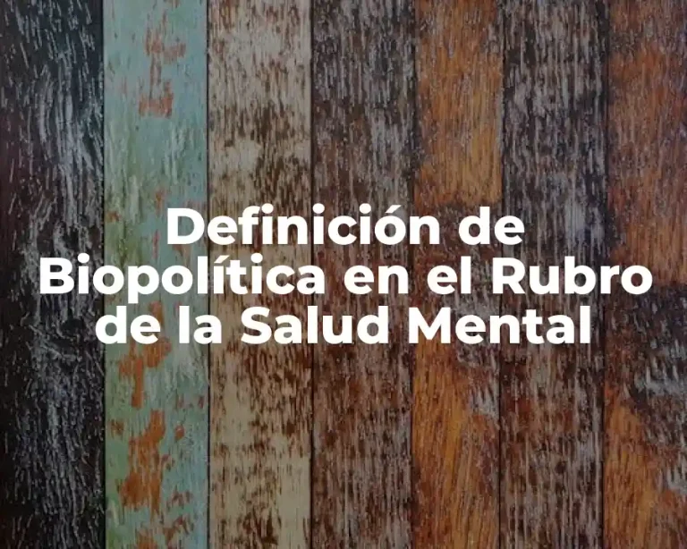 Definición de Biopolítica en el Rubro de la Salud Mental