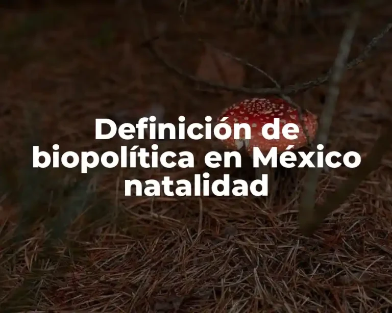 Definición de biopolítica en México natalidad
