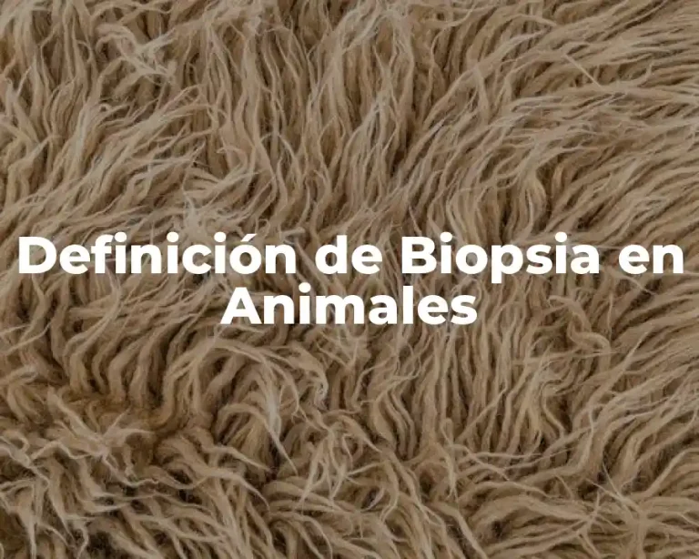 Definición de Biopsia en Animales