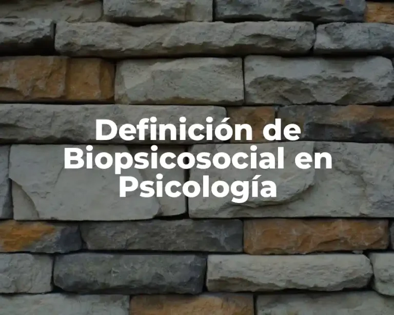 Definición de Biopsicosocial en Psicología