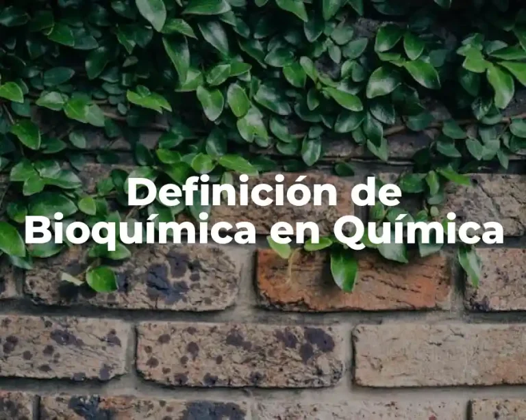 Definición de Bioquímica en Química