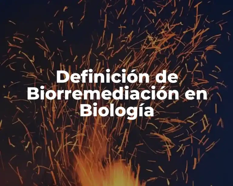 Definición de Biorremediación en Biología