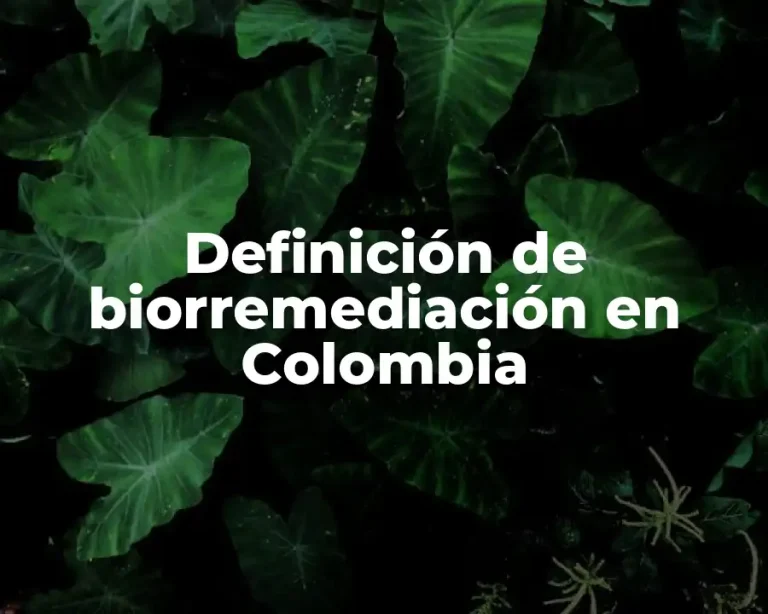 Definición de biorremediación en Colombia