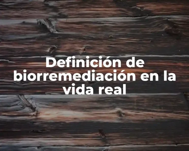 Definición de biorremediación en la vida real
