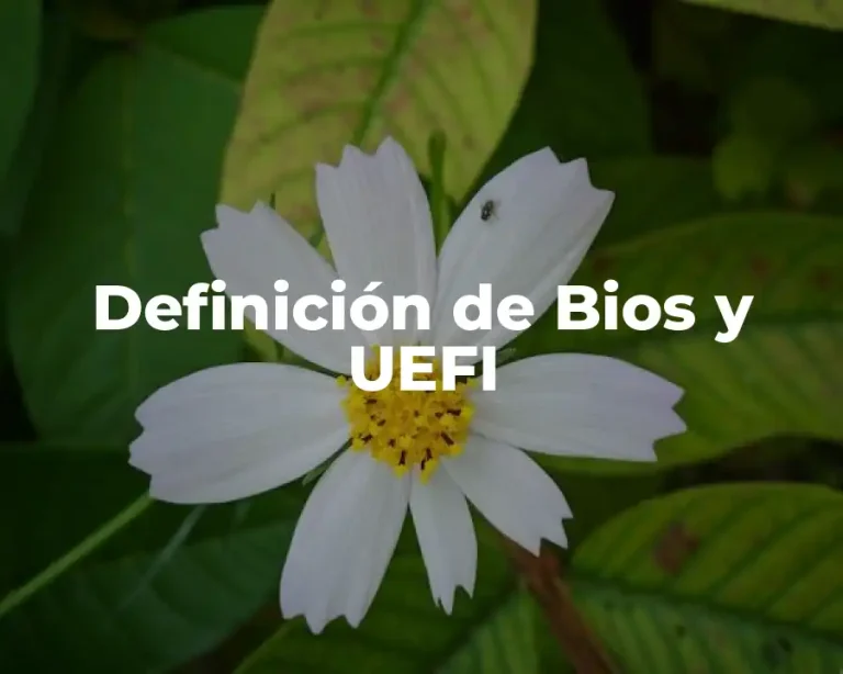 Definición de Bios y UEFI