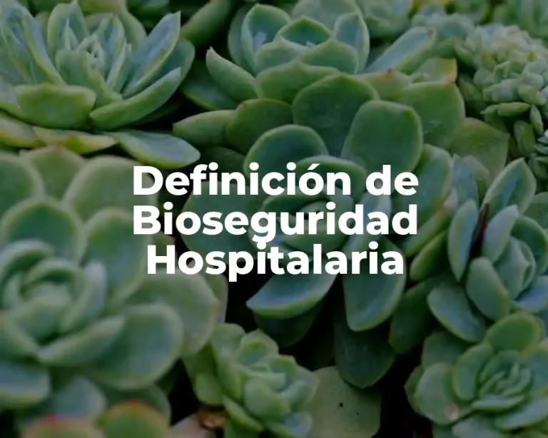 Definición de Bioseguridad Hospitalaria