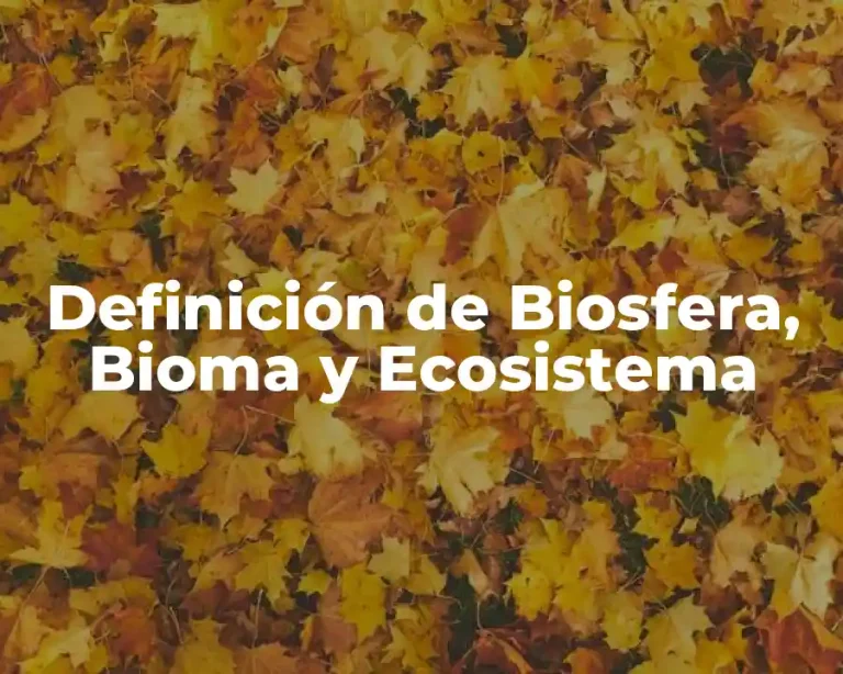 Definición de Biosfera, Bioma y Ecosistema