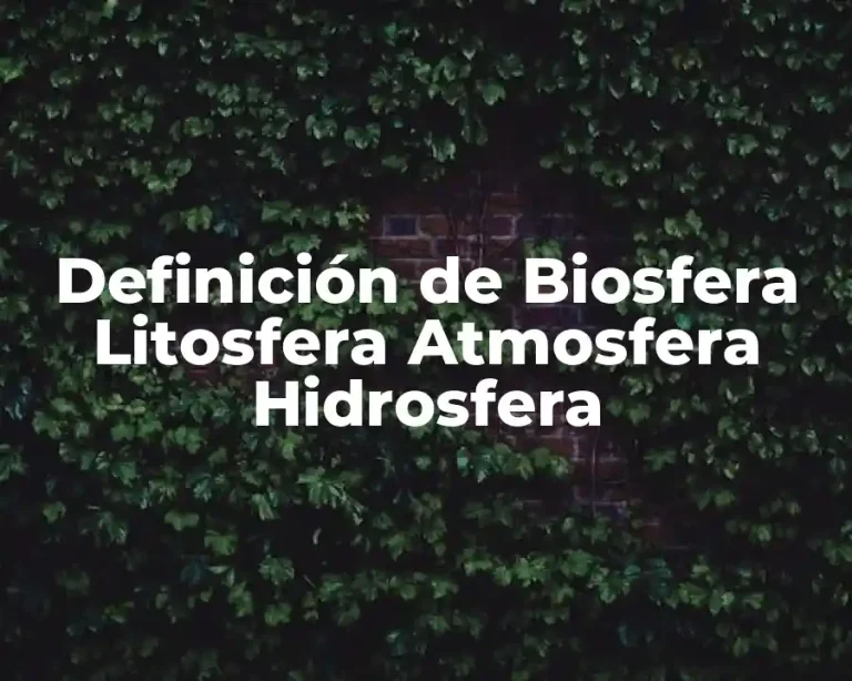 Definición de Biosfera Litosfera Atmosfera Hidrosfera