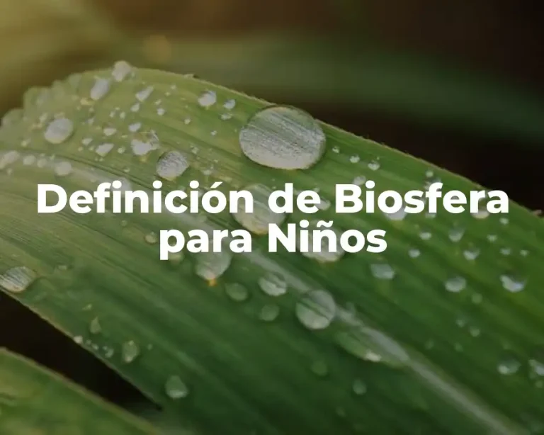 Definición de Biosfera para Niños