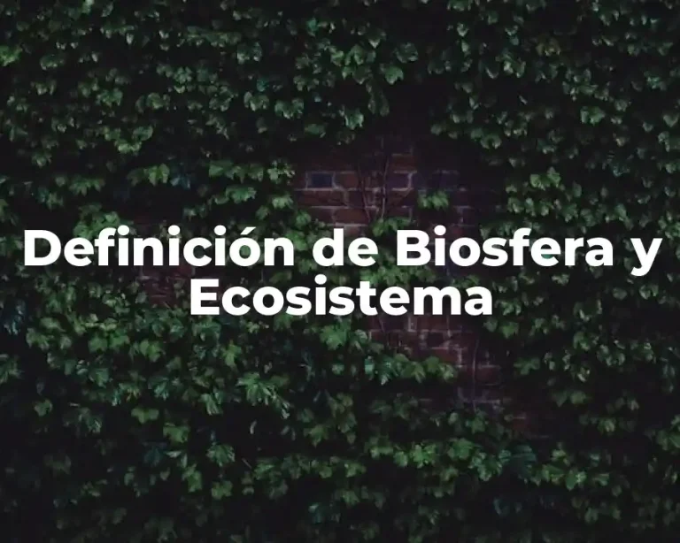 Definición de Biosfera y Ecosistema