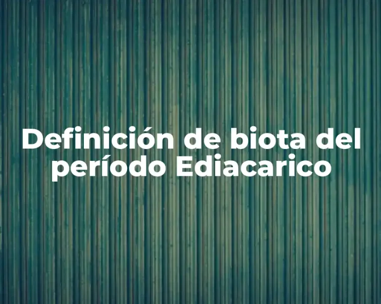 Definición de biota del período Ediacarico