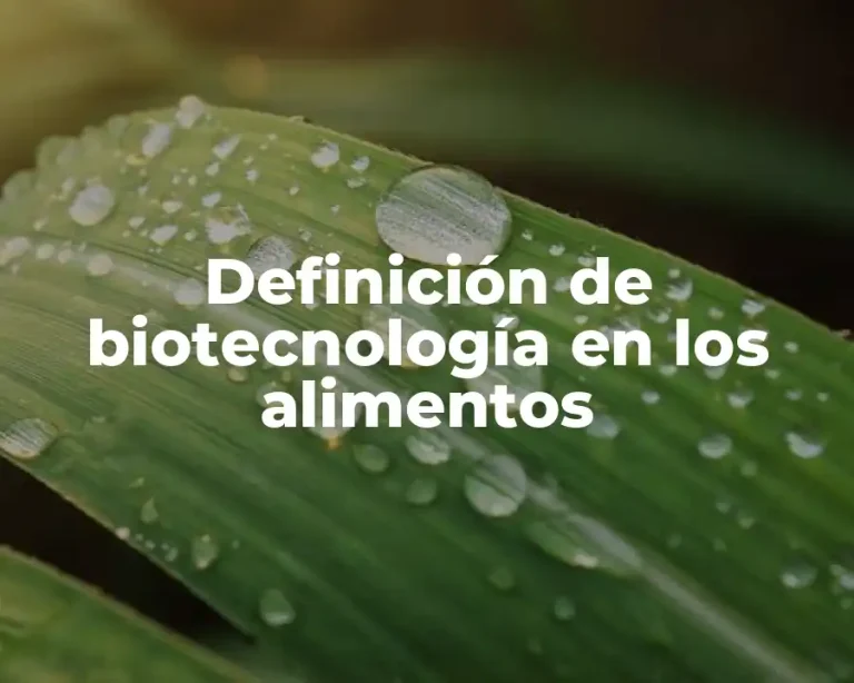 Definición de biotecnología en los alimentos