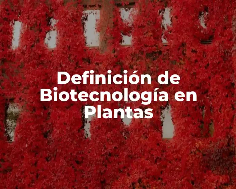 Definición de Biotecnología en Plantas