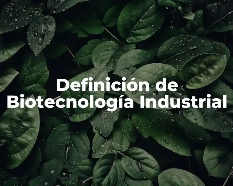 Definición de Biotecnología Industrial