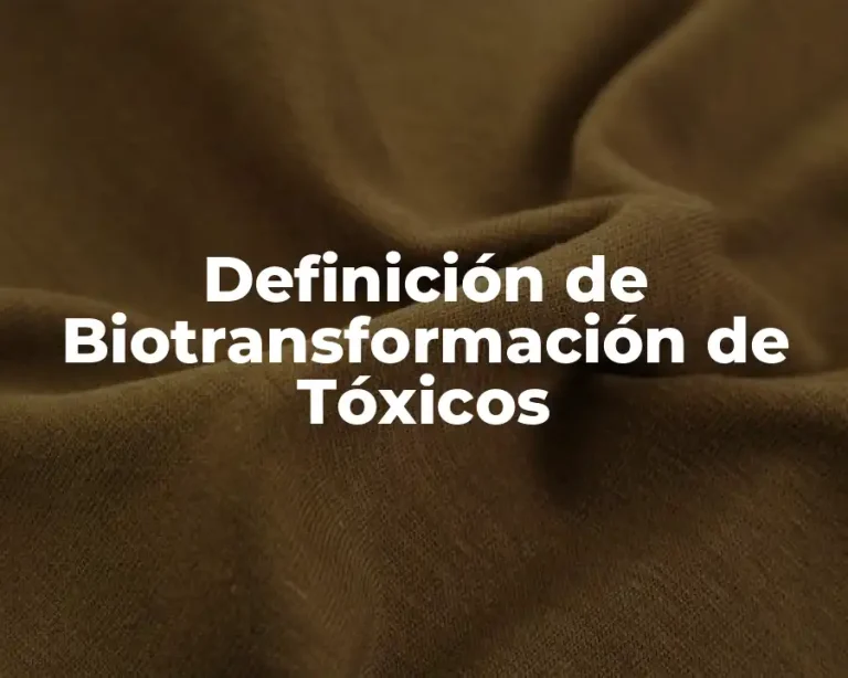 Definición de Biotransformación de Tóxicos