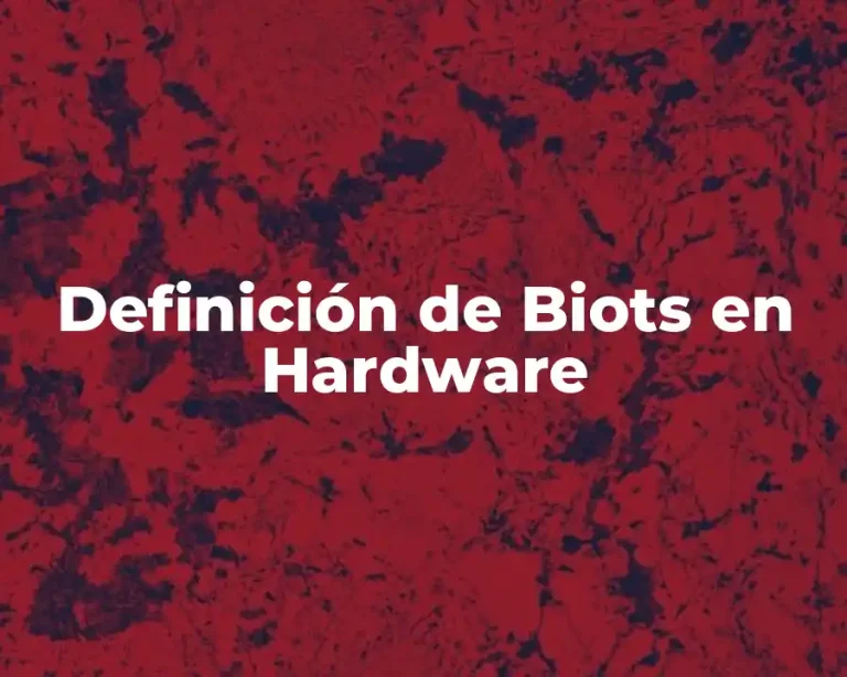 Definición de Biots en Hardware