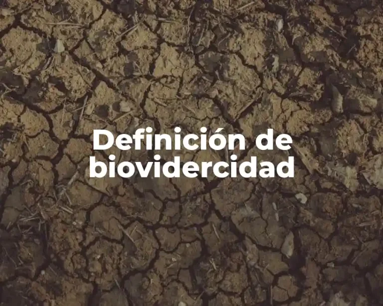 Definición de biovidercidad
