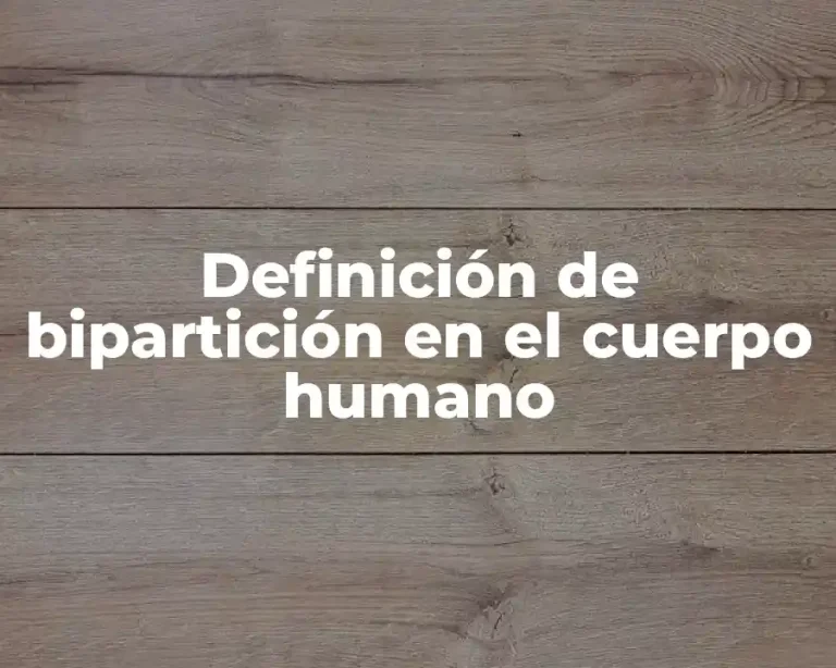 Definición de bipartición en el cuerpo humano