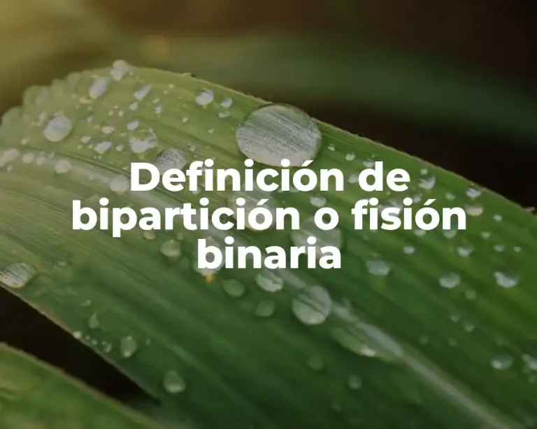Definición de bipartición o fisión binaria