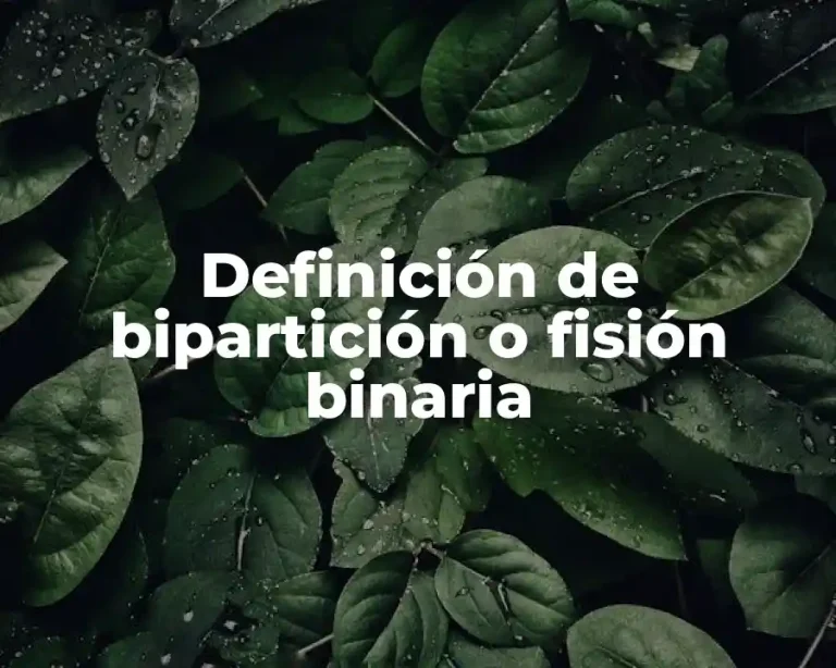 Definición de bipartición o fisión binaria