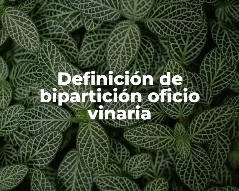 Definición de bipartición oficio vinaria