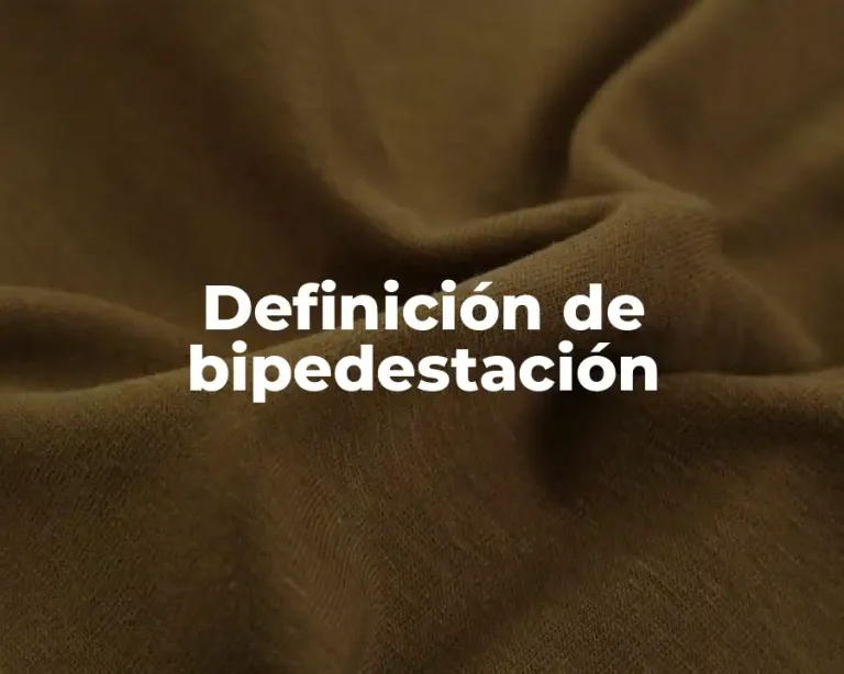 Definición de bipedestación