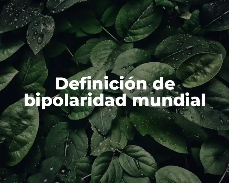 Definición de bipolaridad mundial
