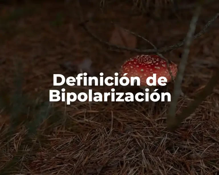 Definición de Bipolarización