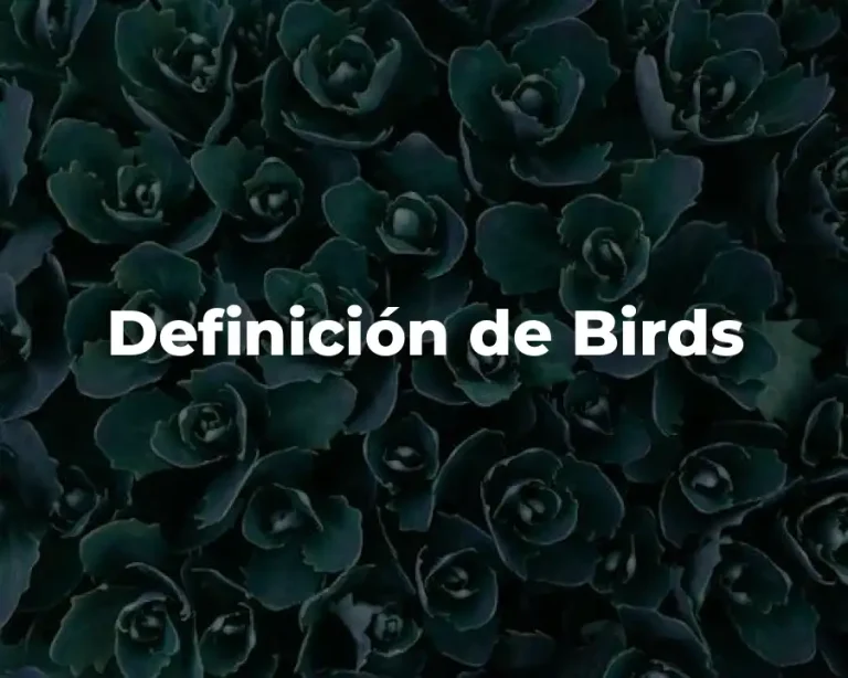 Definición de Birds
