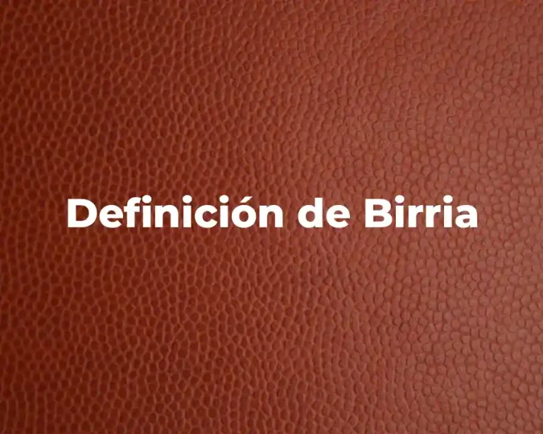 Definición de Birria