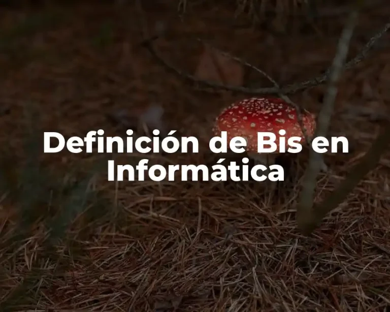 Definición de Bis en Informática