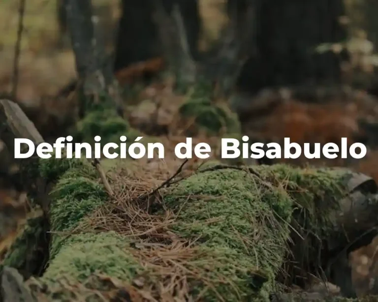 Definición de Bisabuelo
