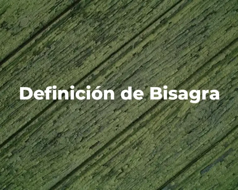 Definición de Bisagra