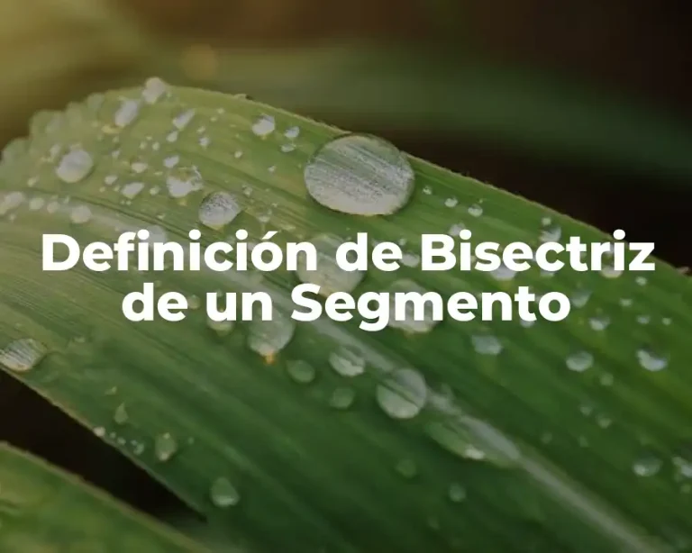 Definición de Bisectriz de un Segmento